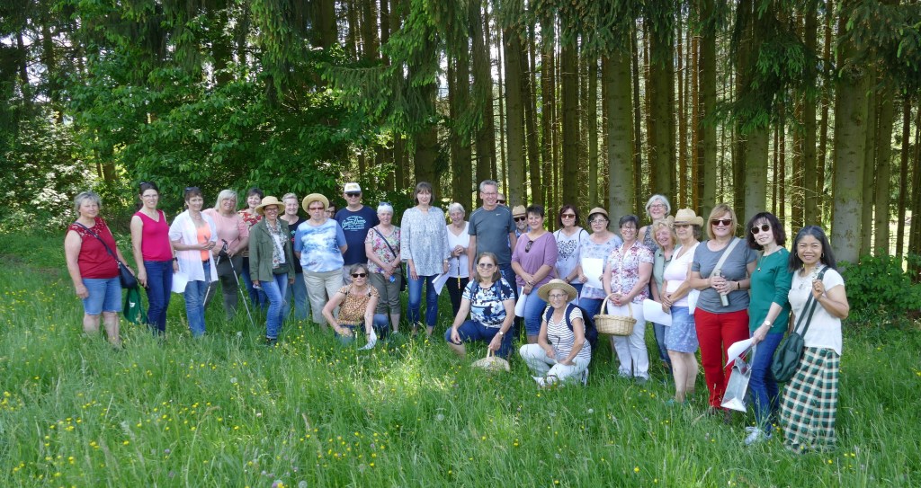 Von Kräutern und Un-&nbsp;Kräutern