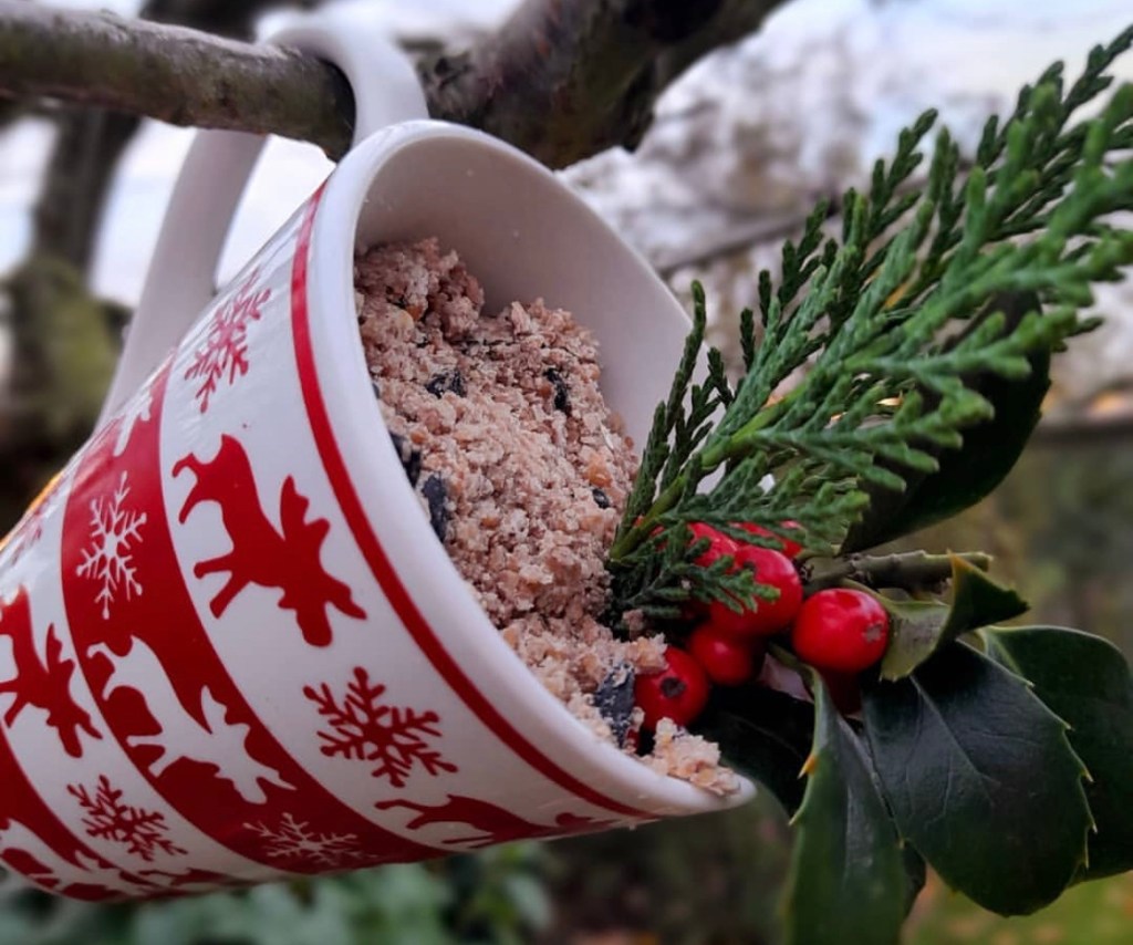 Fettfutter für Vögel