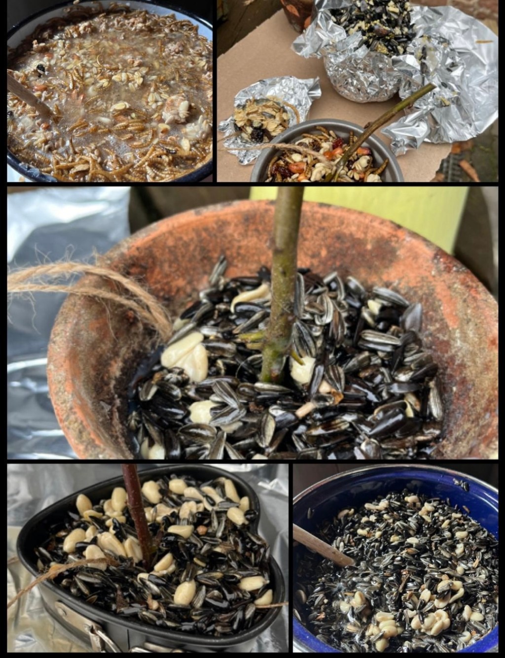 Futter für die&nbsp;Gartenvögel