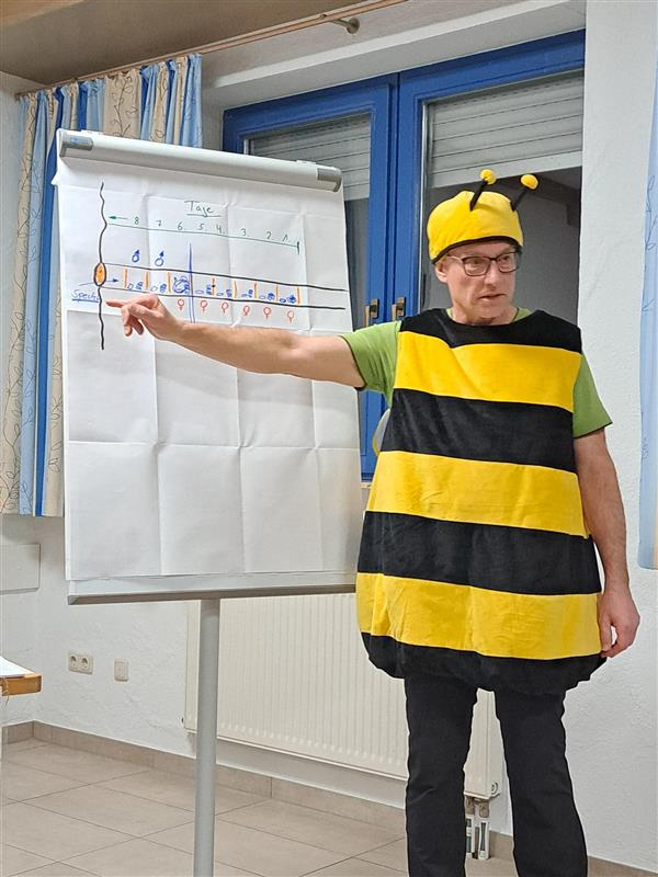 Nisthilfen für Insekten selber bauen
