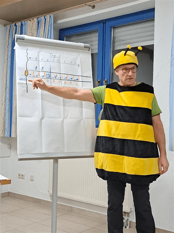 Nisthilfen für Insekten selber&nbsp;bauen