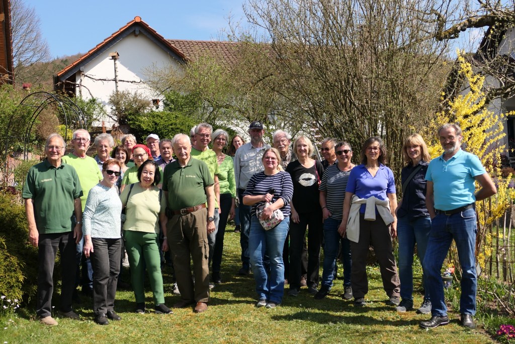 Rosenschnitt in Theorie und Praxis