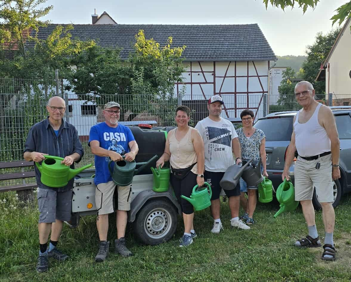 Pflänzchen haben Durst