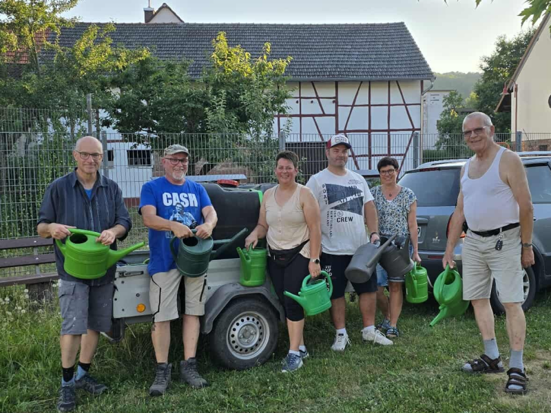 Pflänzchen haben Durst