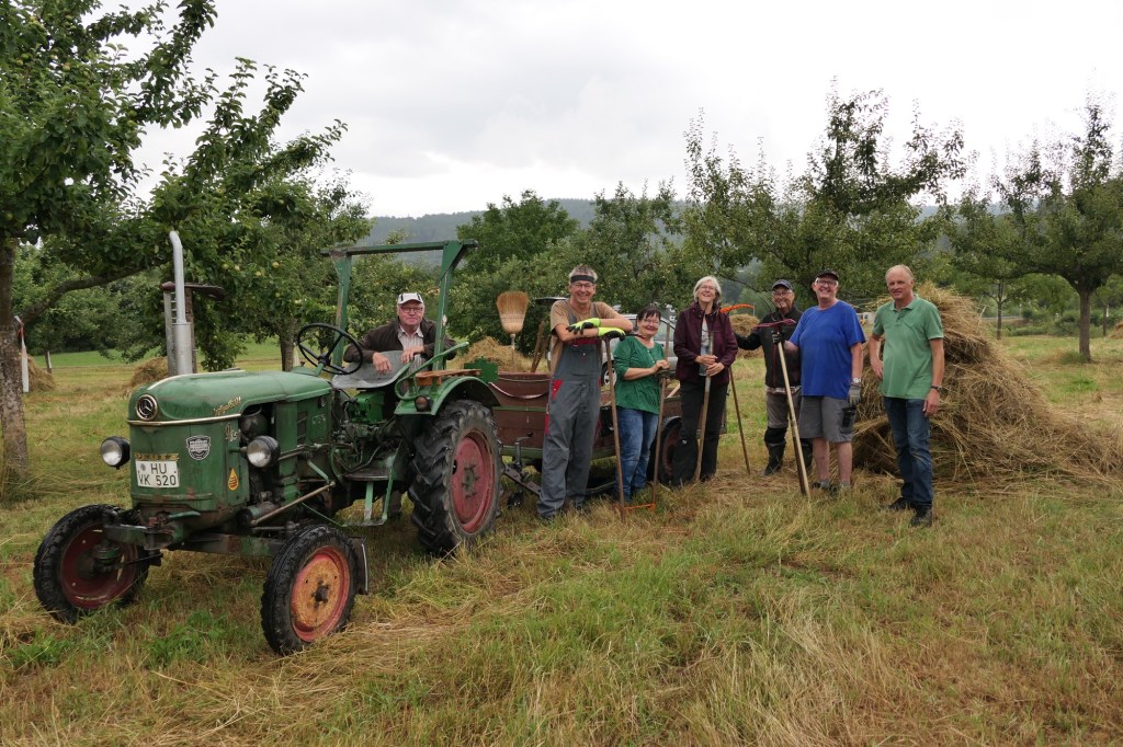 Kleines Heu auf den&nbsp;Streuobstwiesen