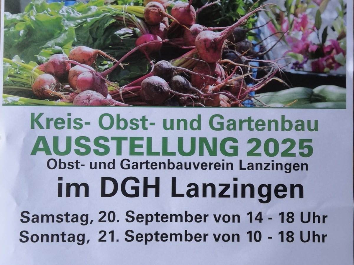 OGV Ausstellung in&nbsp;Lanzingen