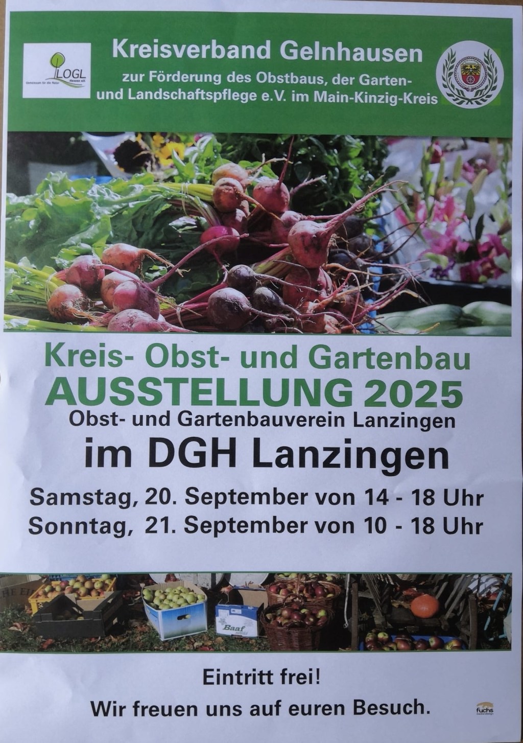 OGV Ausstellung in&nbsp;Lanzingen