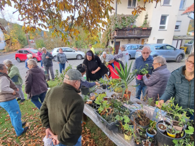 Pflanzen-Tauschbörse in Lanzingen