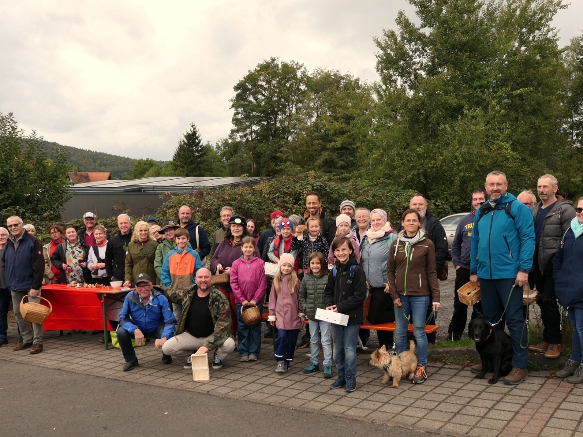 Das Kuhmaul im Wald&nbsp;gefunden.